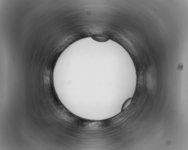X0000097870122200804110934