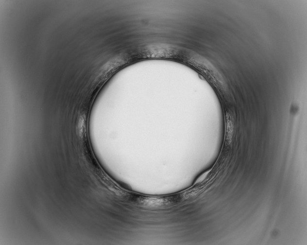 X0000097870123200804110934