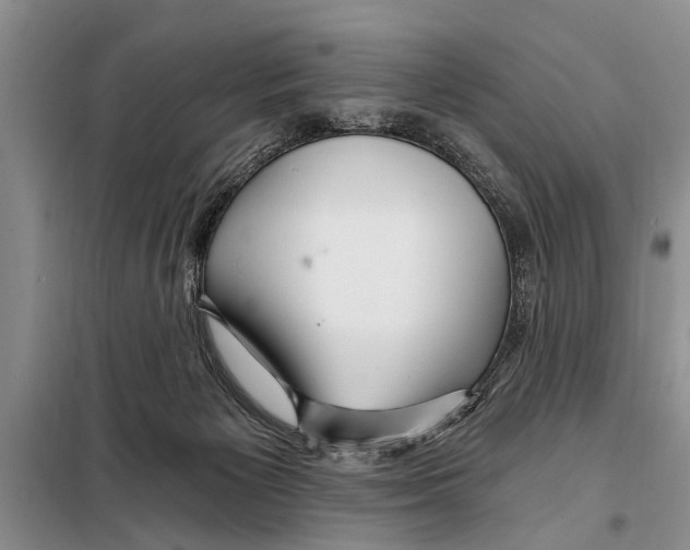 X0000097870125200804110934