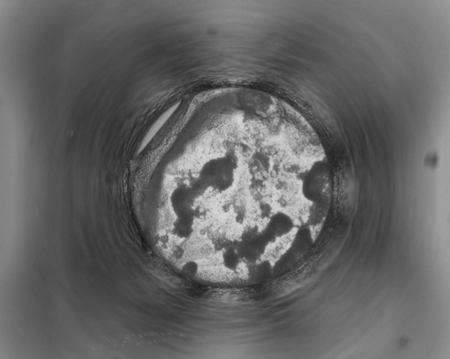 X0000097870127200804110934