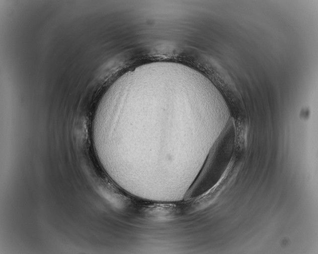 X0000097870128200804110934