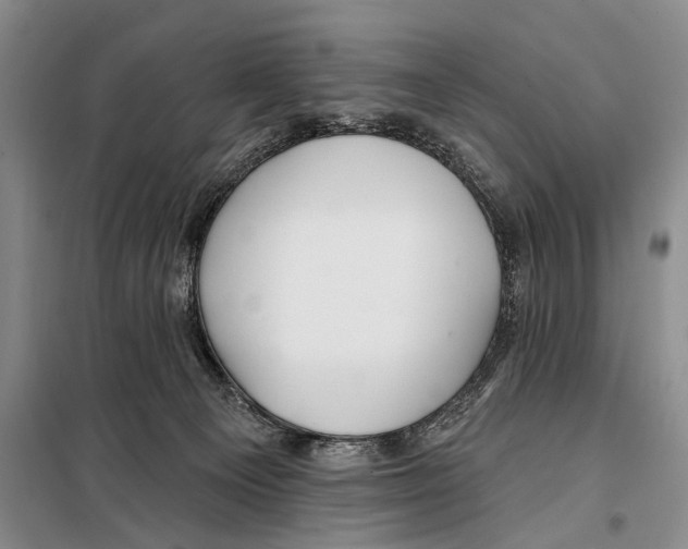 X0000097870129200804110934