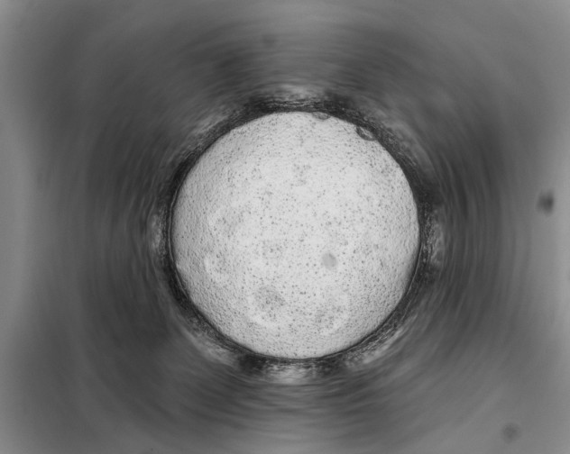 X0000097870131200804110933