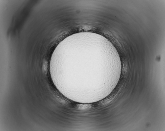X0000097870135200804110933