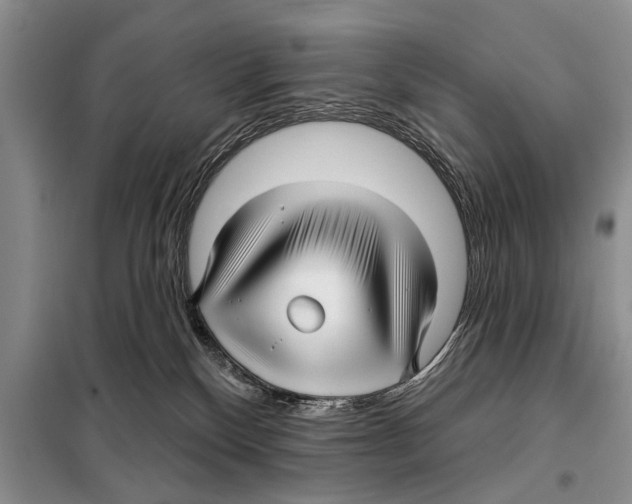 X0000097870136200804110933