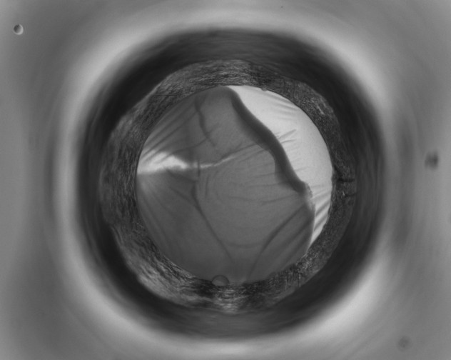 X0000097870143200804110933