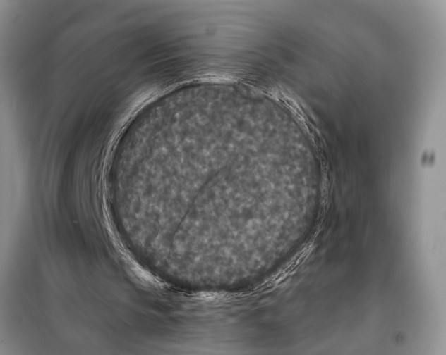 X0000097870145200804110932