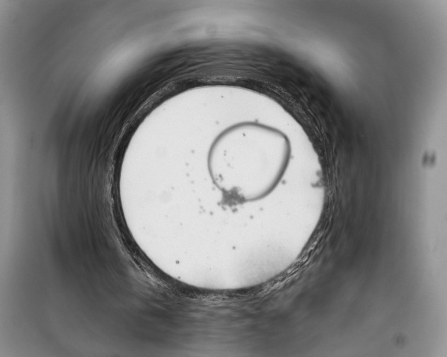 X0000097870146200804110932