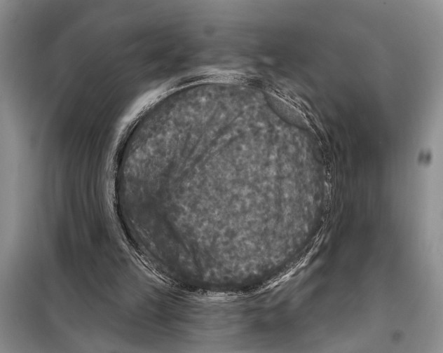 X0000097870149200804110932