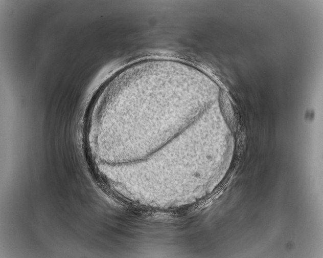X0000097870151200804110932