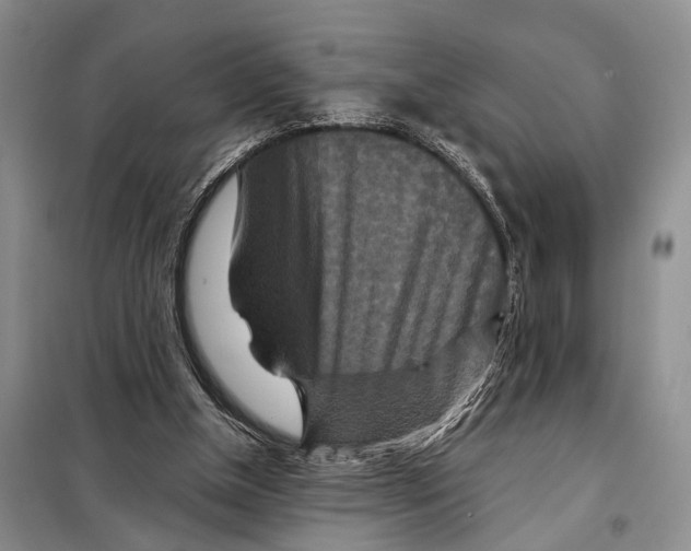 X0000097870154200804110932