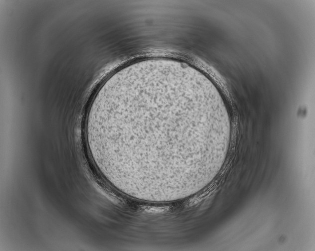 X0000097870155200804110932