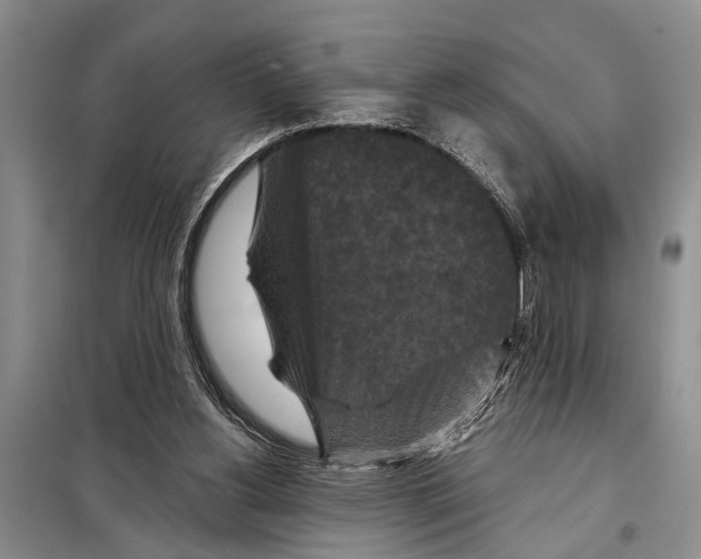 X0000097870156200804110932