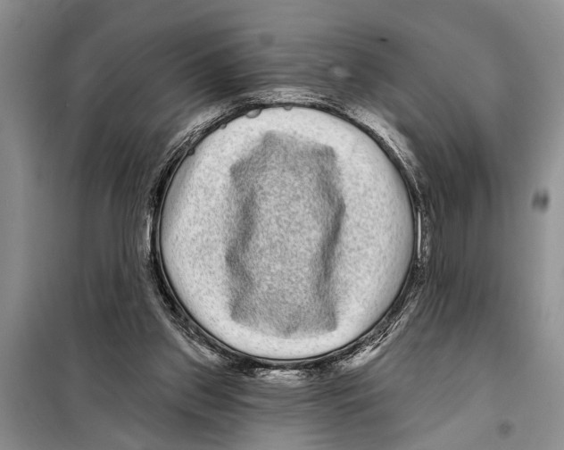 X0000097870157200804110932