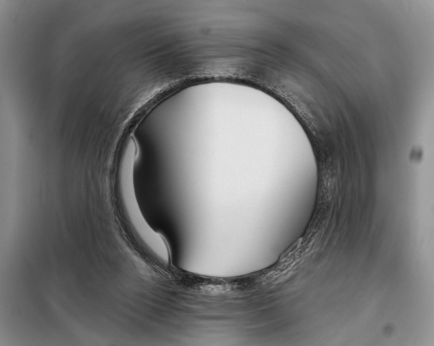 X0000097870160200804110933