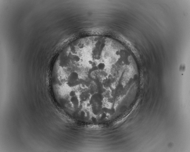 X0000097870161200804110933