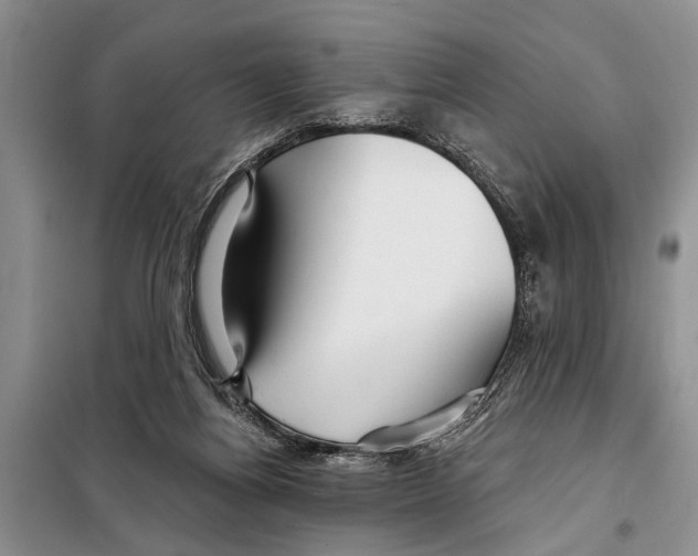 X0000097870164200804110933