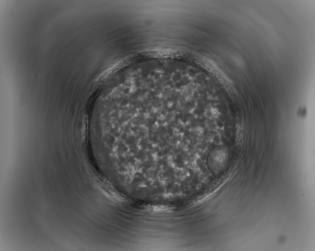 X0000097870165200804110933