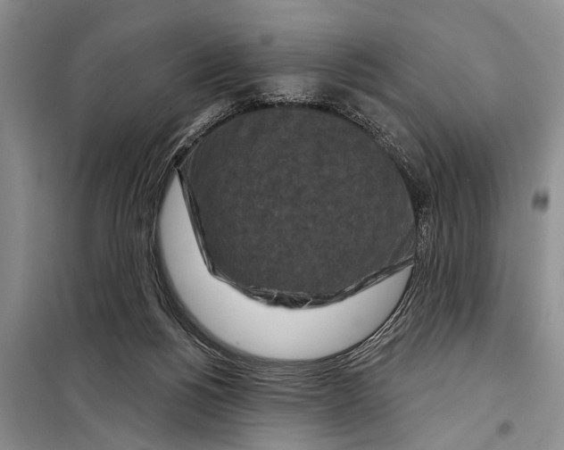 X0000097870168200804110933