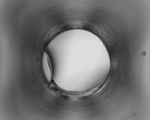 X0000097870170200804110933