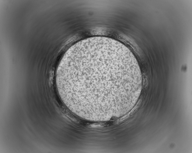 X0000097870171200804110933