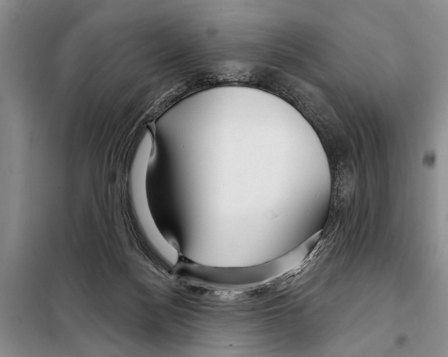 X0000097870172200804110933