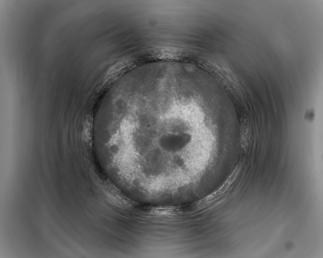 X0000097870175200804110933