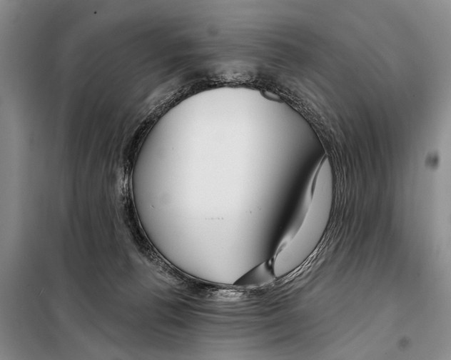 X0000097870176200804110933