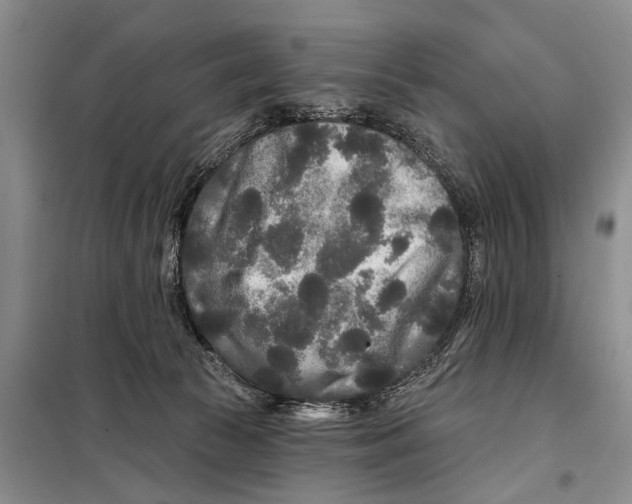 X0000097870177200804110933