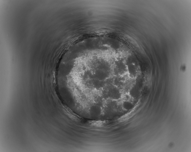 X0000097870182200804110933