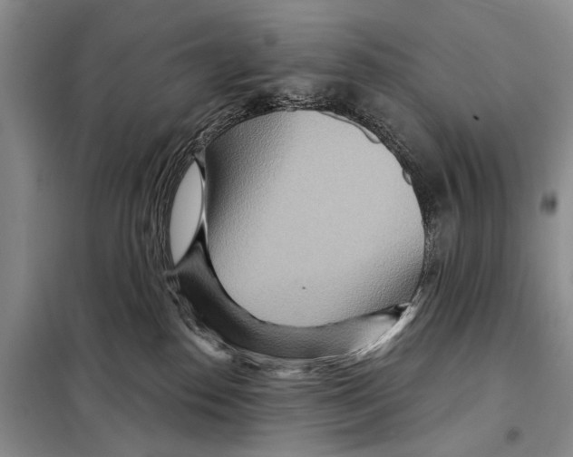 X0000097870186200804110933