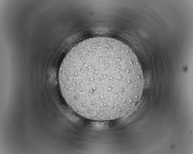 X0000097870187200804110933