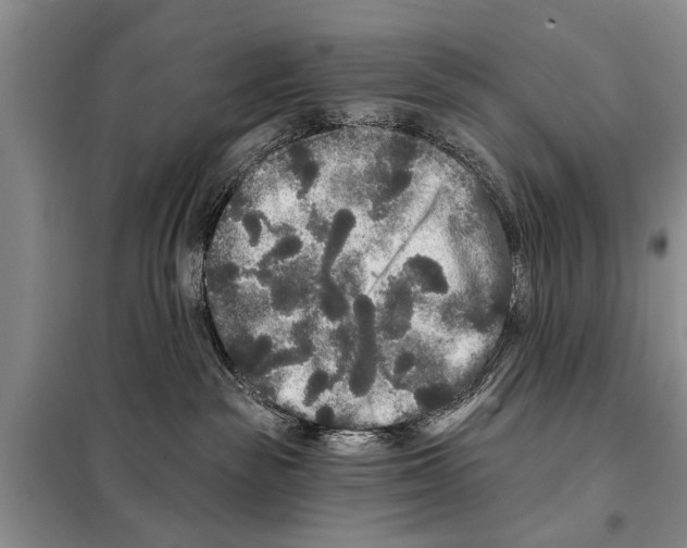 X0000097870189200804110933