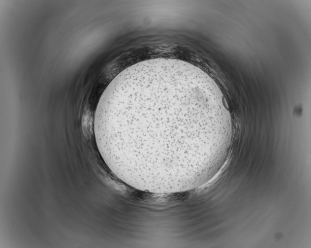 X0000097870191200804110933