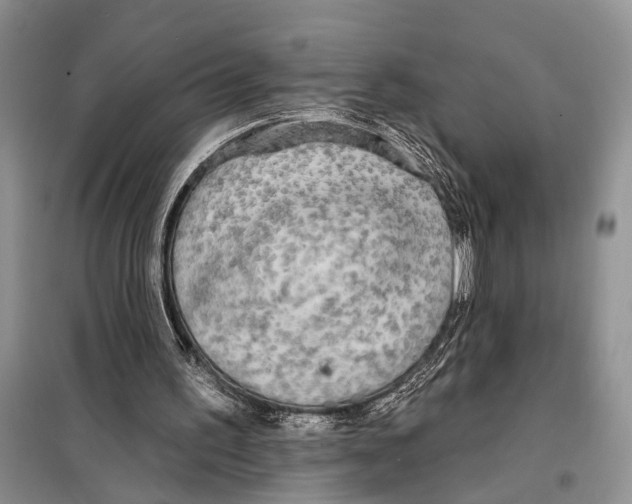 X0000097870195200804110932