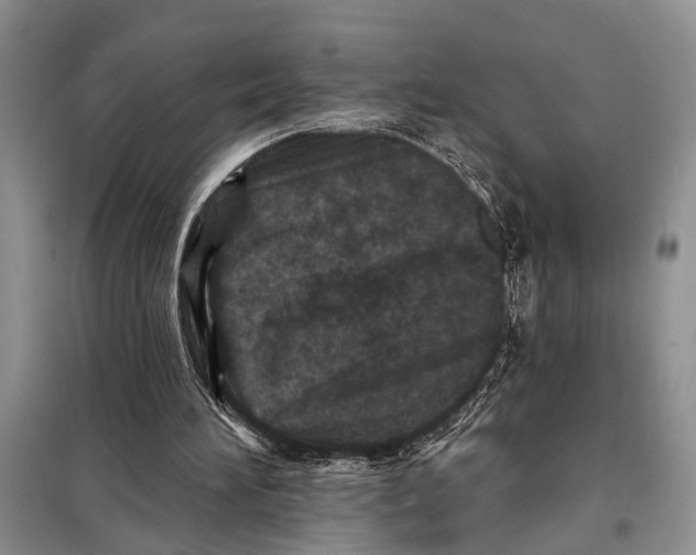 X0000097870196200804110932