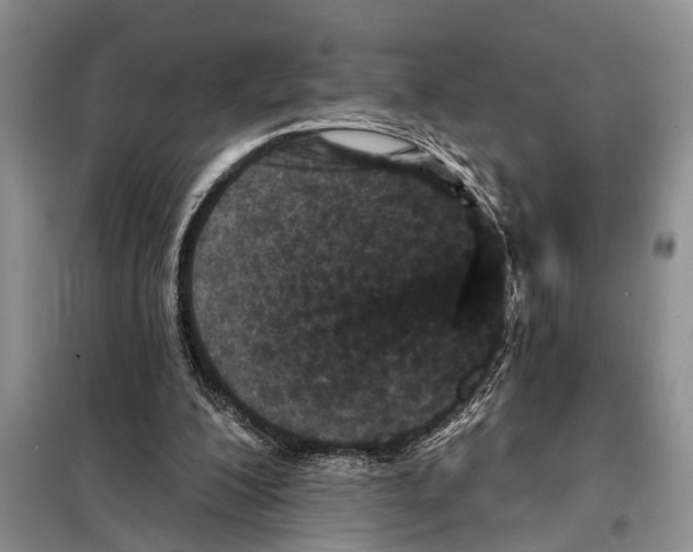 X0000097870200200804110932