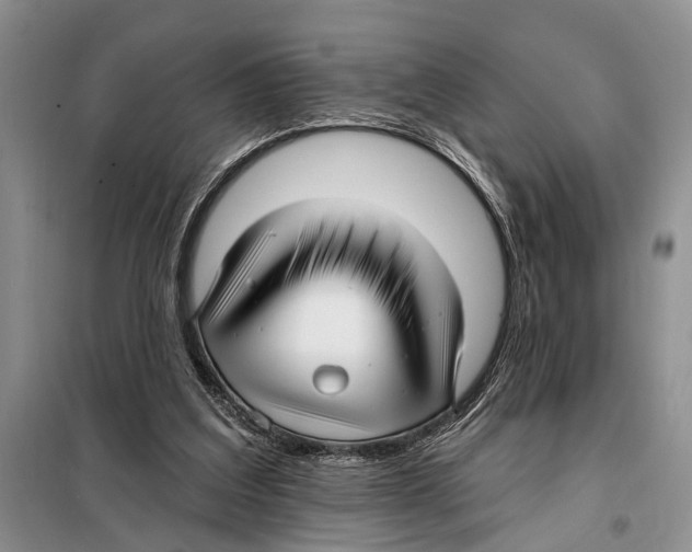 X0000097870203200804110932