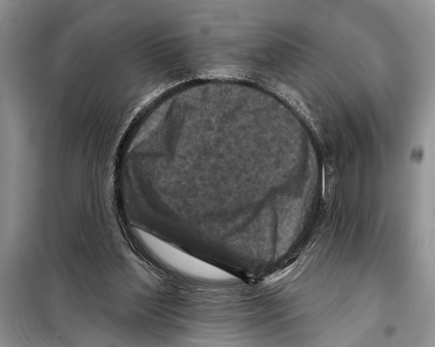 X0000097870204200804110932