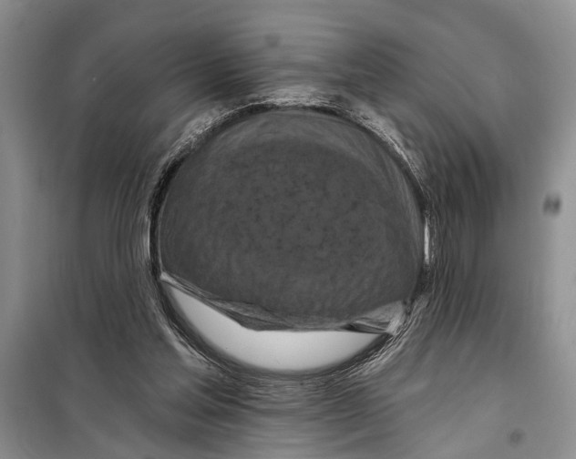 X0000097870205200804110932