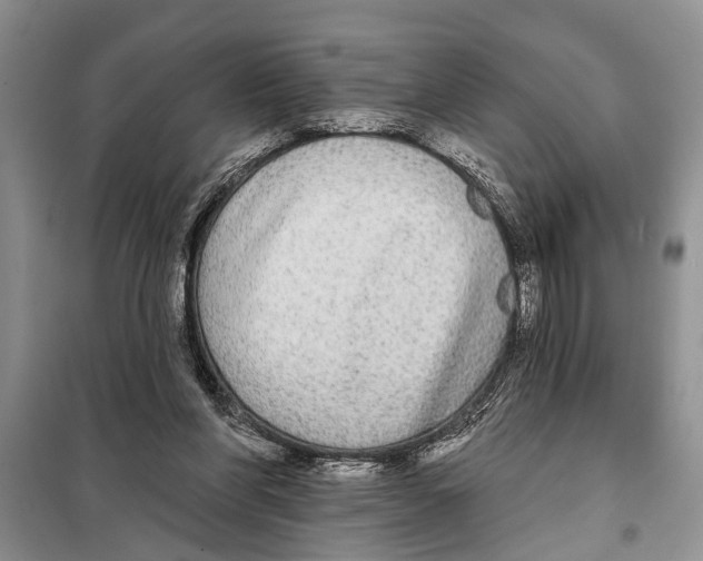 X0000097870206200804110932