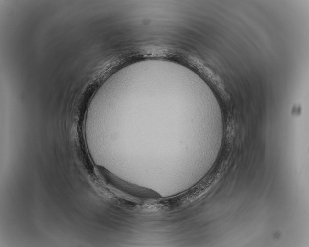 X0000097870209200804110932