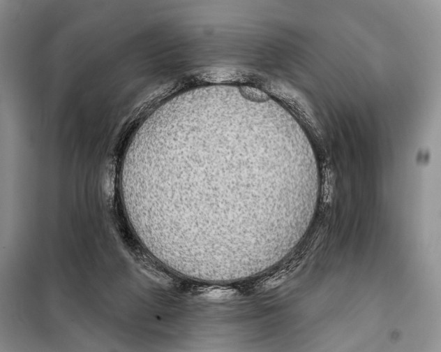 X0000097870210200804110932