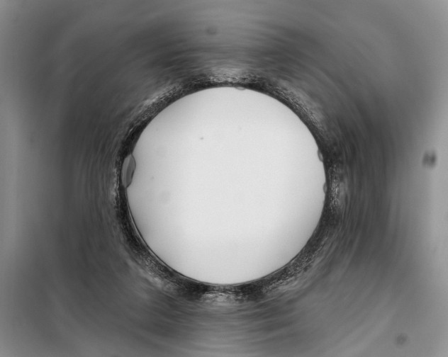 X0000097870211200804110932