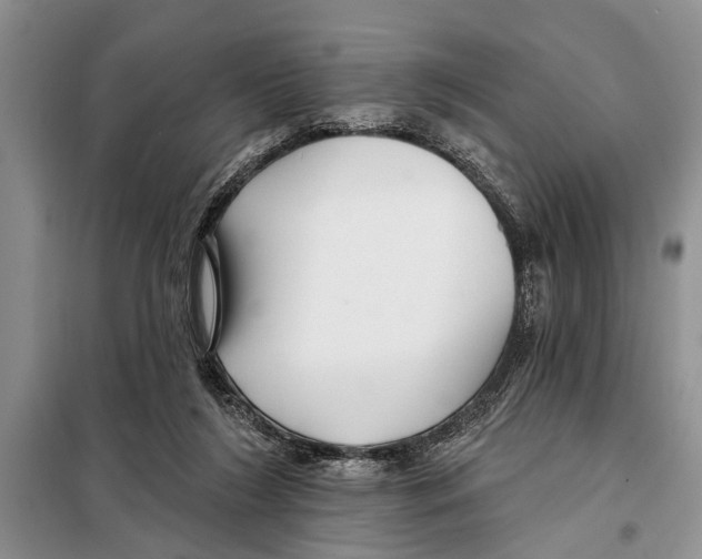 X0000097870212200804110932