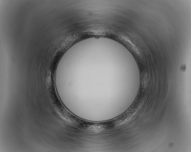 X0000097870213200804110932