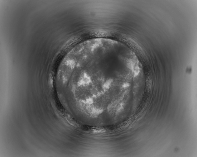 X0000097870214200804110932