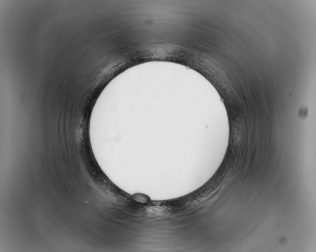 X0000097870216200804110932