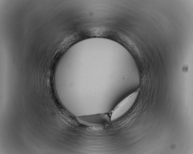 X0000097870217200804110932