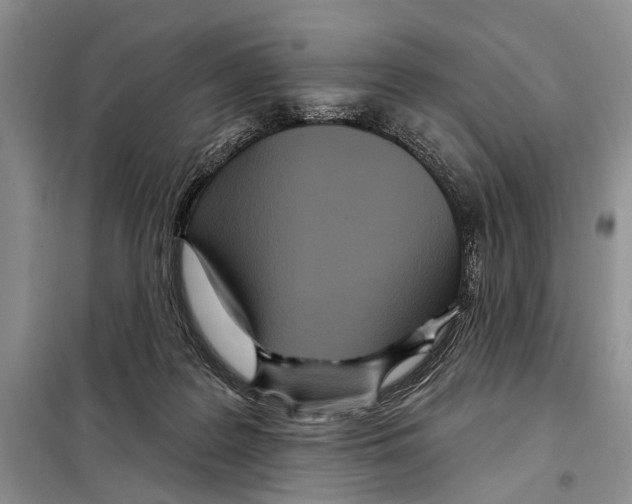 X0000097870219200804110932